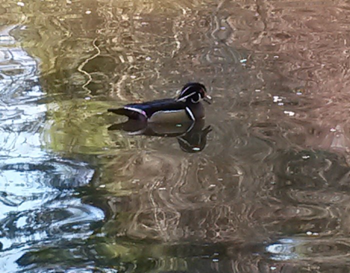 20140322_152637 - Copy